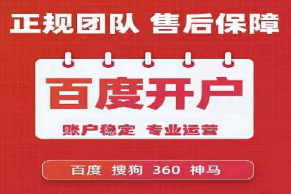 某电商平台的SEM代运营策略及效果评估